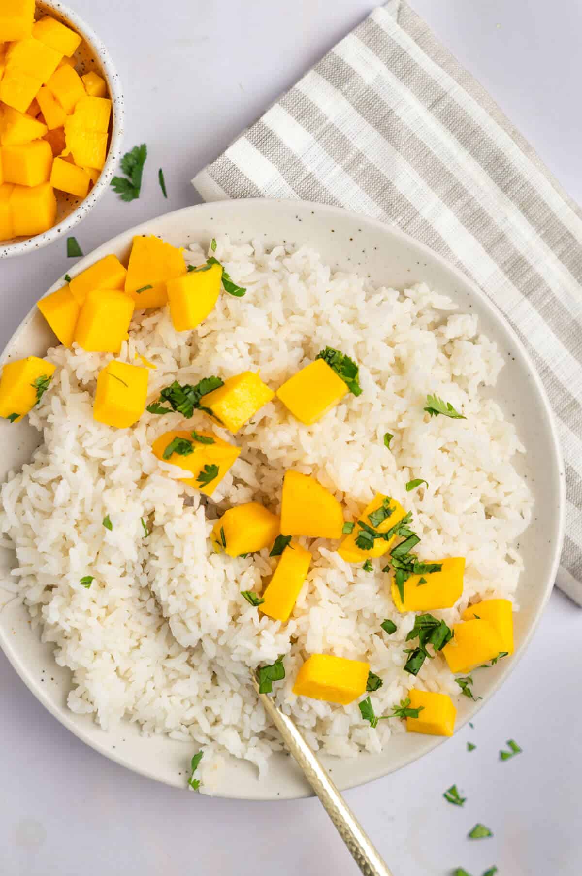 An overhead shot of a large bowl of coconut jasmine rice with diced mango and chopped cilantro.
