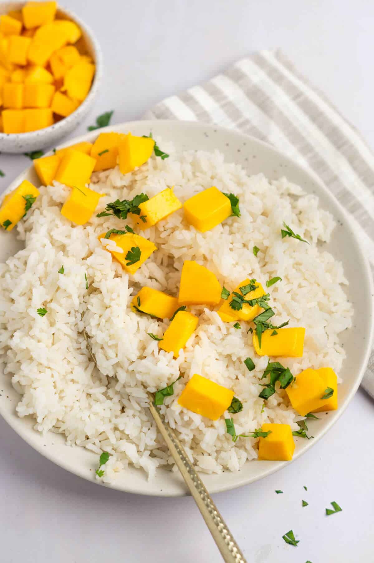 A large bowl of coconut jasmine rice with diced mango and chopped cilantro.