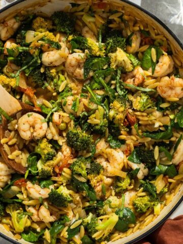Featured image for shrimp and orzo.