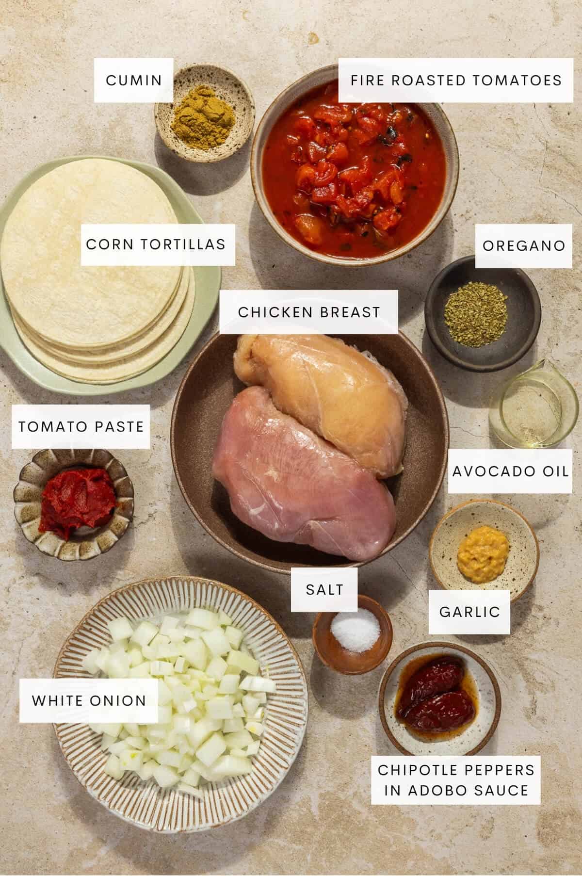 Ingredient shot for chicken tinga tostadas.