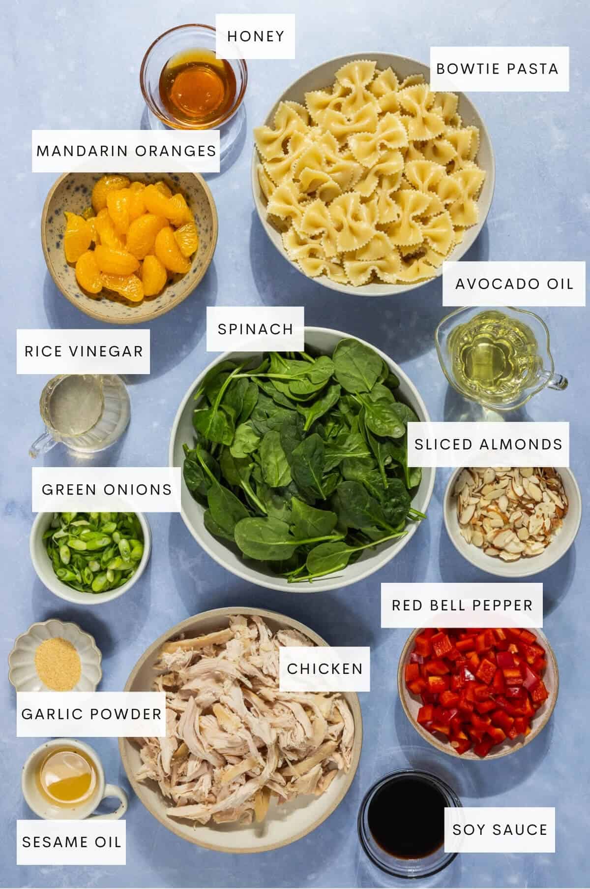 Ingredient shot for mandarin orange chicken salad.