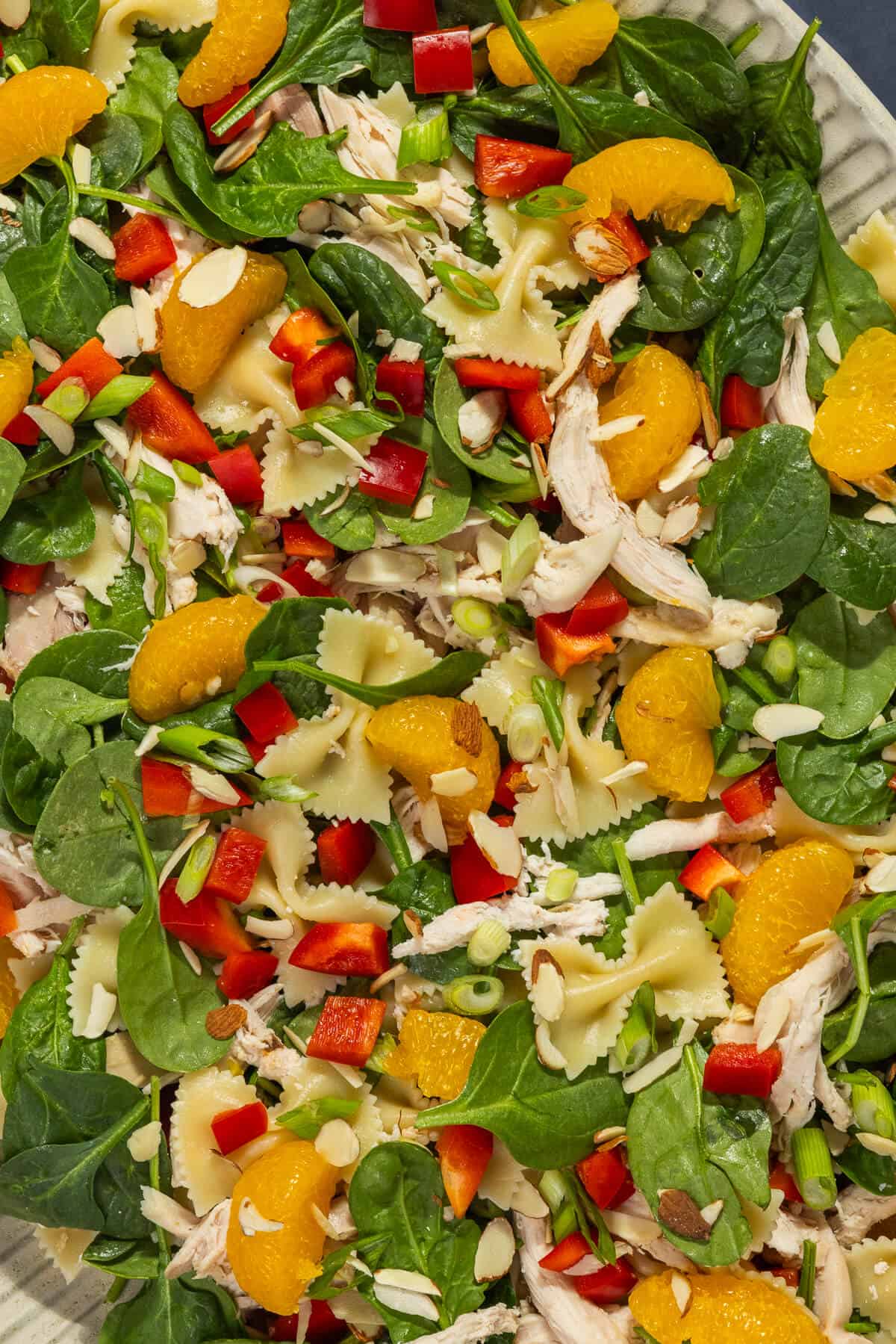 A close up shot of the mandarin orange chicken salad.