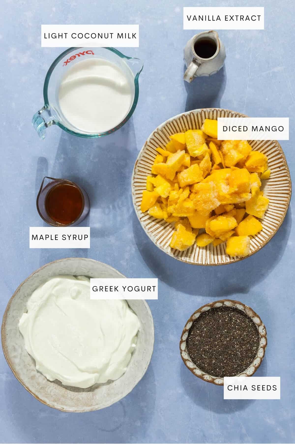 Ingredient shot for coconut mango chia pudding.