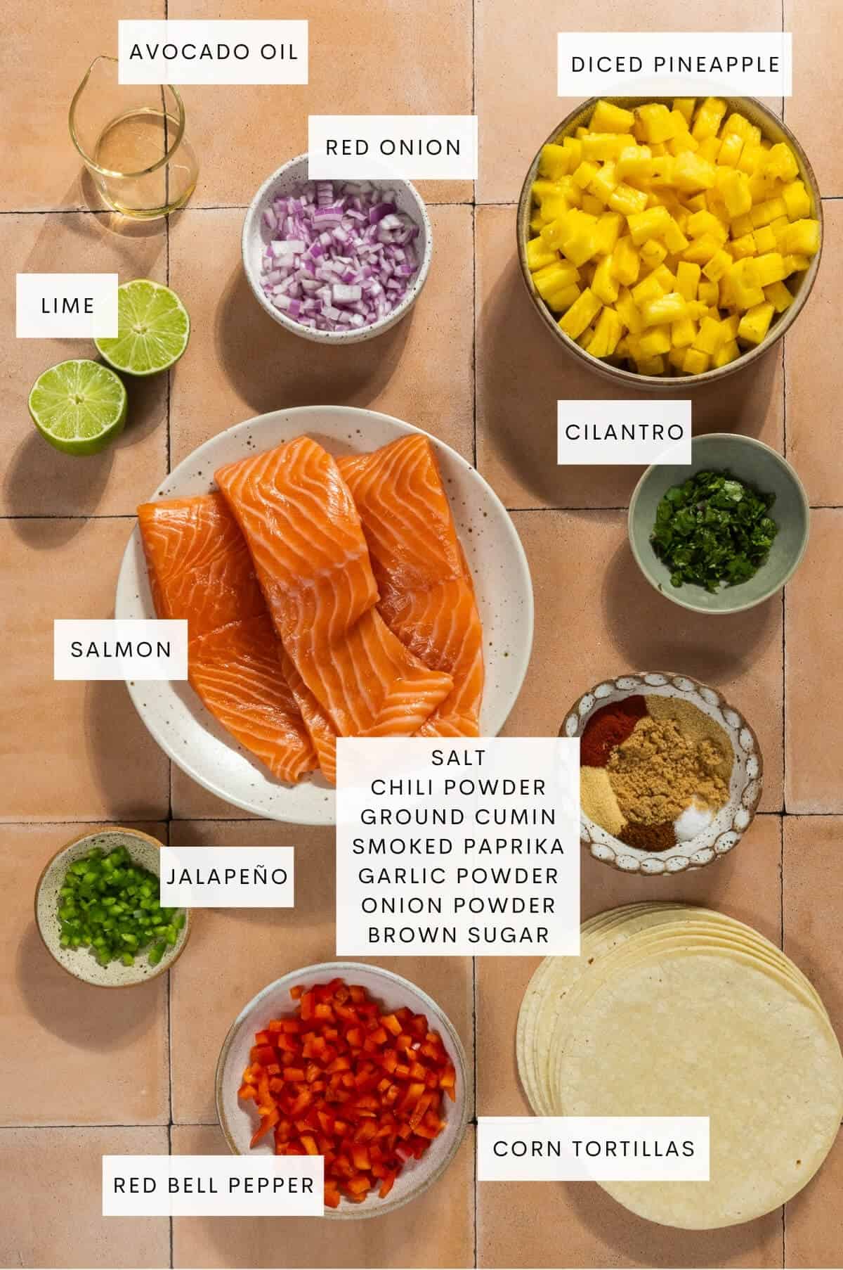 Ingredient shot for salmon tacos with pineapple salsa.