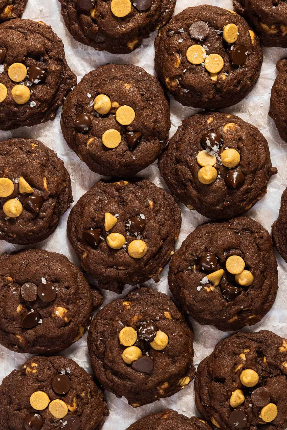 Rows of chocolate and peanut butter chip cookies.