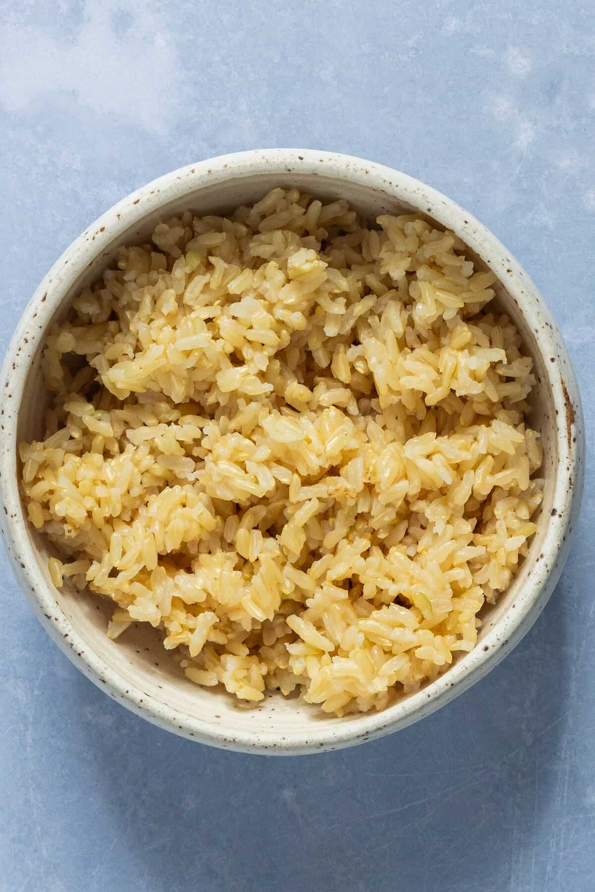 A bowl of brown rice.
