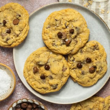 A plate of three oatmeal chocolate chip cookies.